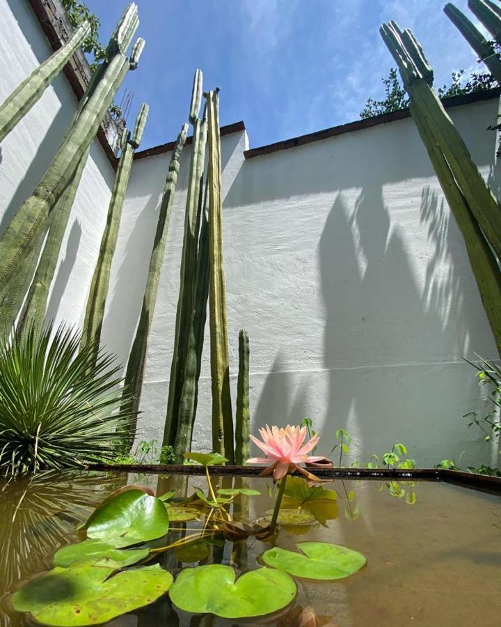 Casa Mayo B&B Oaxaca Exterior photo